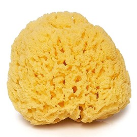 Natural Yellow Sea Grass Sponge 5 Inch | Perfect for Bath, Shower and Body Care | Softly Rough but not skin irritating | Lathers & Washes Really Well