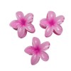 3 Piece Trick Peach Plumeria Clip