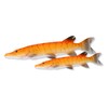 Savage Gear 3D pike 20 cm albino