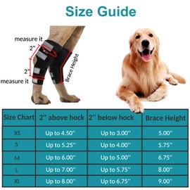 TOKANITY Dog Rear Leg Hock Brace 2 Pack, Joint Brace Used for Sprains, Hind Leg Support for Arthritis, Stability After Injury, Dog Hock (Ankle) Support (XS)