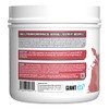 Giant Sports Performance Edge Series BCAA 60 Serving (Black Cherry,