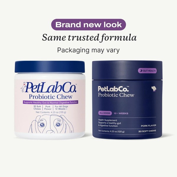 Branded Allergy & Immune Probiotic Soft Chews for Dogs –