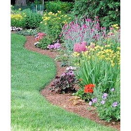 Dougs Bugz Organic Garden Plants & Flower Worm Castings Fertilizer Odorless Soil Enhancer - 1 Pound