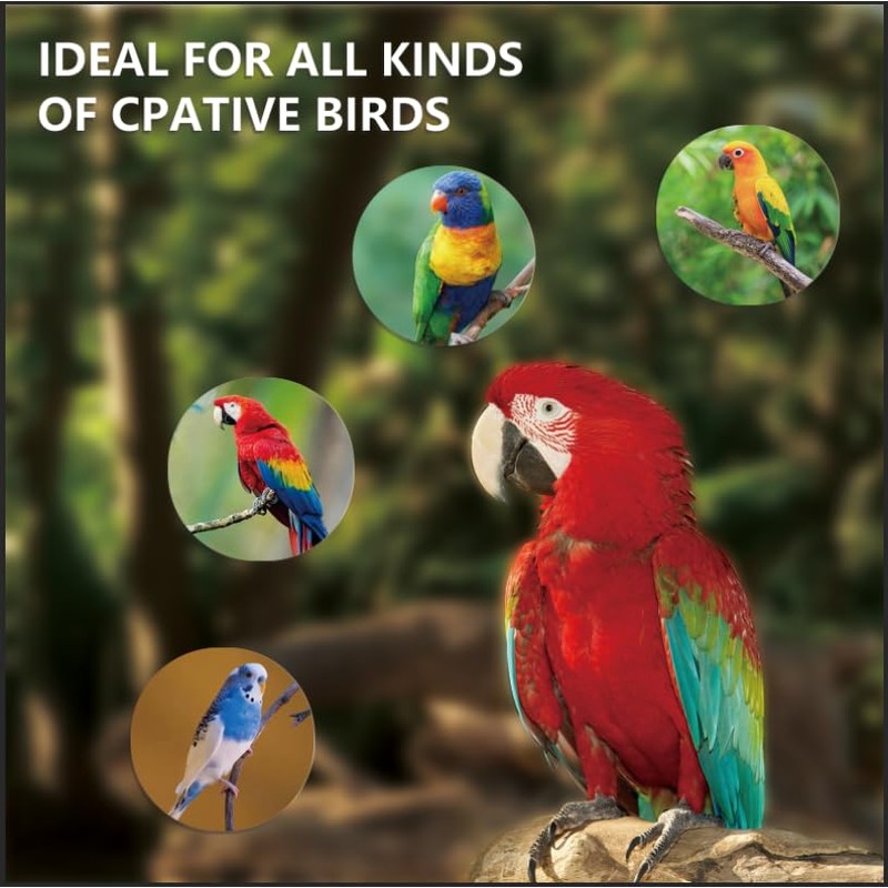 LUCKY HERP UVA UVB Light Bulb for Birds 2.4 UVB