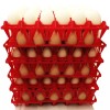 Rite Farm Products 6 RITE FARM PRODUCTS 30 EGG PLASTIC