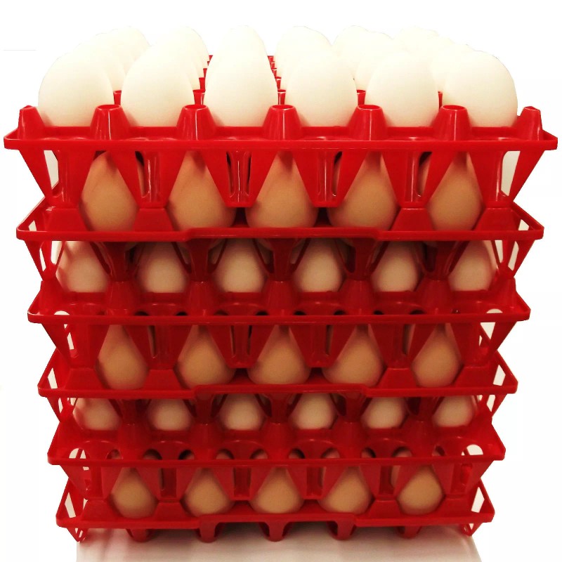 Rite Farm Products 6 RITE FARM PRODUCTS 30 EGG PLASTIC