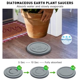 Azhou Diatomaceous Earth Plant Saucers 2-Pack with Velvet Bottom - 6 Inch Water Absorbing Heavy Duty Flower Pot Trays, Moisture Control Indoor Outdoor Catcher for Home, Office, Kitchen