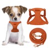 CHEDE No Pull Puppy Harness and Multifunction Dog Leash Set-