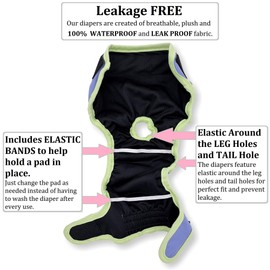 Pack of 3 Female Dog Diapers Cat Waterproof Leak Proof Washable Panties Reusable for Small Medium and Large Pets (S: Waist 12" - 16")