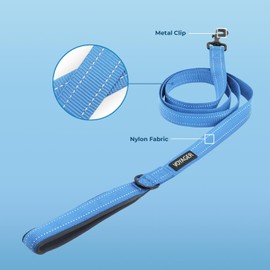 Voyager Reflective Dog Leash with Neoprene Handle, 5ft Long, Supports Small, Medium, and Large Breed Puppies, Cute and Heavy Duty for Walking, Running, and Training - Baby Blue (Leash), S