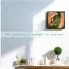 Evergreen Oasis Natural Cedar Wood & Preserved Moss Wall Art