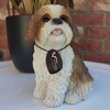 Vivid Arts - Real Life-like Shih-Tzu - XRL-SZ12-D