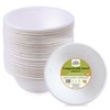 The Food Supply Strong Paper Bowl, Disposable Plates, Compostable &