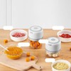Electric Garlic Chopper 250ml Cordless Operation Multifunctional Detachable Mini Food