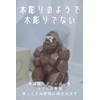 Kishima KH-61228 Animal Coin Bank Nordic Figurine Gorilla One Size