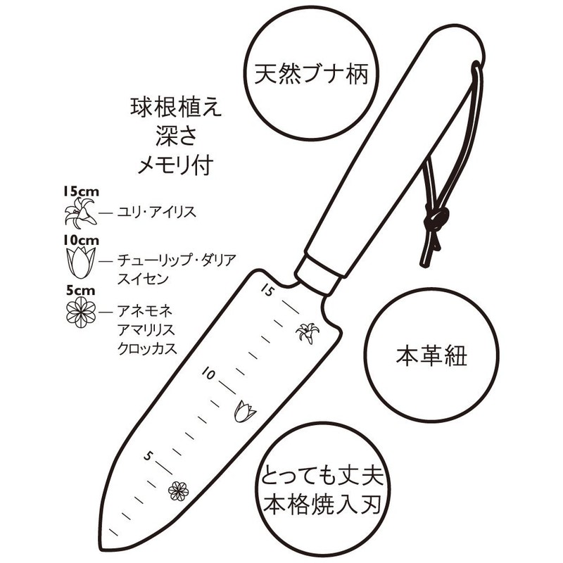 miki Starboard and village Garden Scoop Sakura TS143