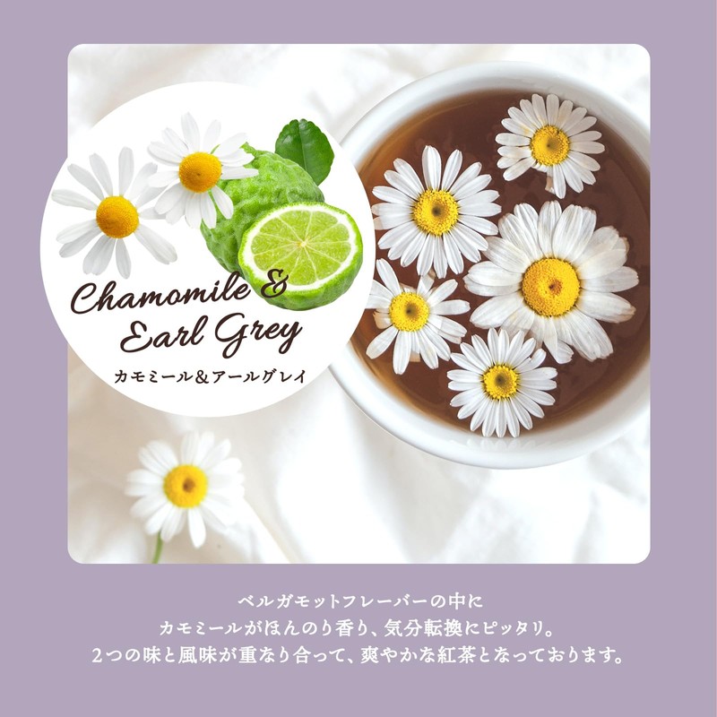 TEA NAVIGATION Decaffeinated Tea Gift Set, 25 Packs, 3 Types,