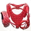 haoyueer Leather Spiked Studded Medium & Large Dog Collars, Harnesses