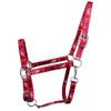 RESISTANCE Trump Polyester Horse Halter with Snap – Durable &
