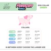 Sassy Woof The Powerpuff Girls™ (Green) - L, Dog Collar,