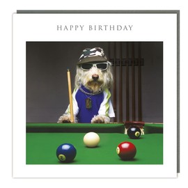 Tracks Publishing 'Happy Birthday' Card - Funny Photographic Image - Dog Relaxing Playing Snooker - For Him - From The Light Hearted Collection, Multi,158 x 159mm