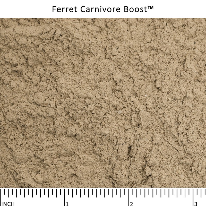 Ferret Carnivore Boost™