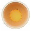 Original FlowerPad Ø 20 cm - Professional Drainage bag for