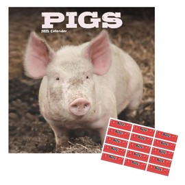 Pigs Calendar 2025 | Square Wall Pig Calendar | 16 Month | With Free Organisational Stickers