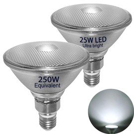 25W PAR38 LED Flood Light,250W PAR38 Halogen Bulb Equivalent,Daylight White,Full Glass Lamp Body,Waterproof,Bright White Light 5000K,Outdoor/Indoor,E26,120 Volts,Non-Dimmable,2-Pack,