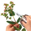 Takagi Stainless Steel Flower Pruning Scissors With Main Blade 6.5