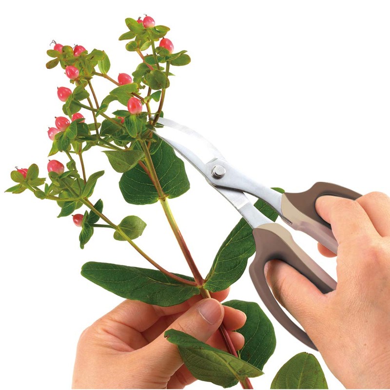 Takagi Stainless Steel Flower Pruning Scissors With Main Blade 6.5