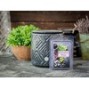 The Candle Daddy Muscadine Wine - Southern Grape Wine Scented