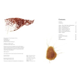 Textile Creativity Through Nature: Felt, Texture, and Stitch