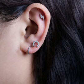 Limerencia F136 Pure Titanium Hypoallergenic Implant Grade Studs, G23 Small Dainty Cubic Zirconia Earrings for Women's Sensitive Ears(horseshoe)