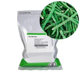 Jade Bush Bean Seeds (Treated) - 1 Lb - Non-GMO, Heirloom Green Bean Seeds - Vegetable Garden Seeds