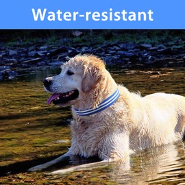 PcEoTllar Lighted Dog Collars for Night, Light Up Dog Collar Rechargeable Water-Resistant Flashing LED Dog Collars Safety Glow in The Dark Dog Collars Light for Large Small Medium Dogs