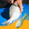 Lotsdonxia Fish Scale Scraper Tool - Transparent Cover Descaler, ABS
