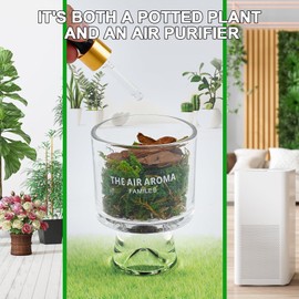 Moss and Pine Plant Home Decor, Long-Lasting Essential Oil Diffuser, Multiple Scent Options, Aromatherapy, Suitable for Home, Bedroom, Office, Car, Seeking Relaxation. (Jasmine)