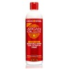 Creme of Nature with Argan Moisture & Shine Curl Activator