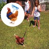 Pack of 2 Chicken Harness with Lead, Adjustable Chicken Harness