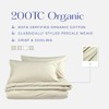 Christy 200TC Organic Single Fitted Sheet | Hazelnut Beige |