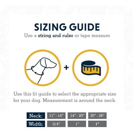 RUFFWEAR Crag Dog Collar, Reflective and Comfortable Collar for Daily Use, Seafoam, 20-26 Inch