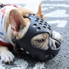 Yurika Dog Muzzle, Dog Mouth Cover, Chewing Prevention, Furniture Destruction