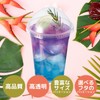 HEIKO 004525009 Clear Cups A-PET Flat Lids for 9 oz