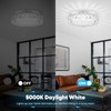 Crystal Chandeliers Flush Mount LED Ceiling Light Fixture, 5000K Daylight