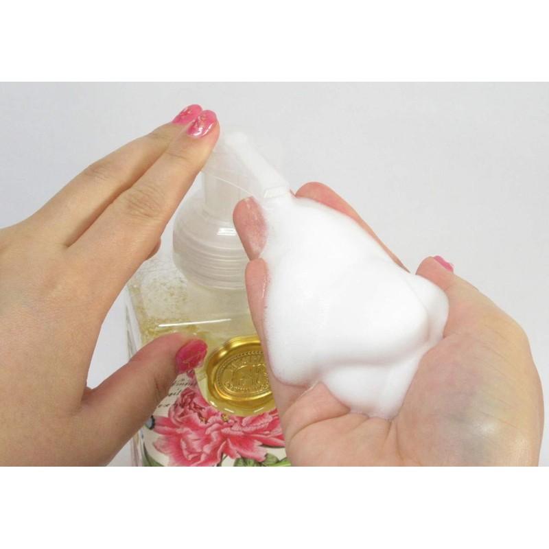 Michel Design Works Scented Foaming Hand Soap, Season's Greetings