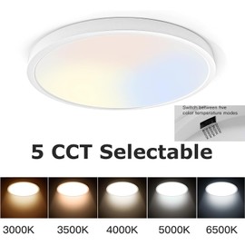 TALOYA 2 Pack 12 Inch LED Flush Mount Ceiling Light Fixture for Living Room Basement Closet Hallway Laundry Room Porch,20W Equivs to 200W 3000k/3500K/4000k/5000K/6500k