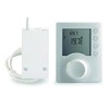 Delta dore Thermostat, White