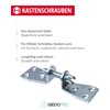 Gedotec Kastenschrauben Metall Universal-Möbelverbinder-Schrauben Verbindungsschrauben doppelt | Stahl verzinkt |