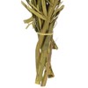Vickerman 40-48" Basil Coco Palms - Twisted, 6 Stems, Dried